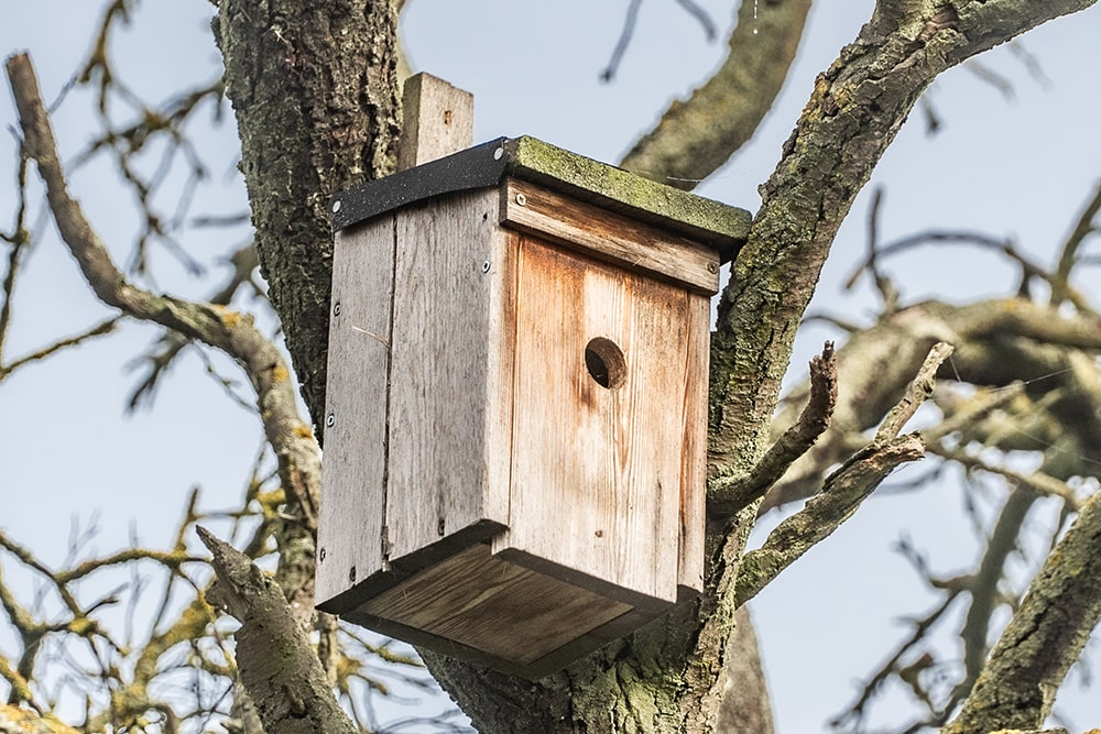 Sitzstangen, Singwarten und 150 Nistkästen für Vögel aufgestellt